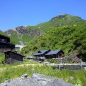 大分、九重坊がツル 