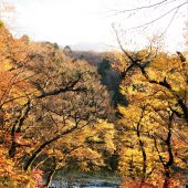 鳥取、大山、麓にて 
