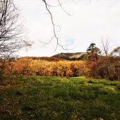 鳥取、中蒜山、麓より 