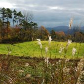 岡山、中蒜山登山途中 