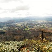 鳥取、中蒜山、山頂下 