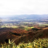 鳥取、中蒜山、頂上近くにて 