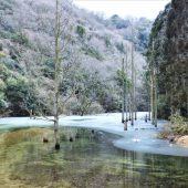 兵庫、摩耶山　池と氷 