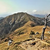 徳島、剣山山頂より 