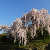 徳島、剣山山麓 
