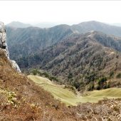 徳島.三嶺、山頂下 