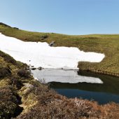 徳島、三嶺、山頂下 