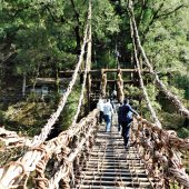 徳島、祖谷かずら橋 