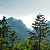 登山道より甲斐駒ヶ岳を見る 