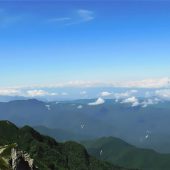 長野、仙丈ケ岳の花 