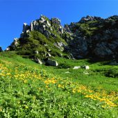 長野、駒ケ岳千畳敷カール 