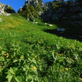 長野、駒ケ岳千畳敷カールから 