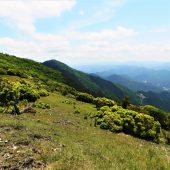 三重、三峰山頂下 