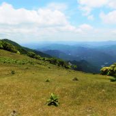 三重、三峰山頂下 