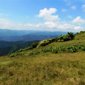 三重、三峰山頂下より 