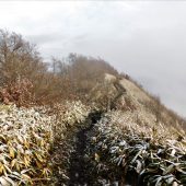 岡山、下蒜山、山頂下 