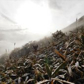 岡山、下蒜山、自然のドラマ 