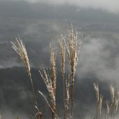 岡山、下蒜山、幻想的風景 