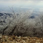 兵庫、六甲山からの大阪平野 