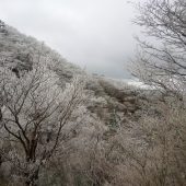 兵庫、六甲山山頂下 