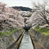 滋賀、大津琵琶湖疎水 