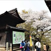 滋賀、大津三井寺 