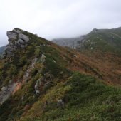 三ノ沢岳登山道から 