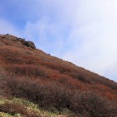 三股山西峰（四峰） 