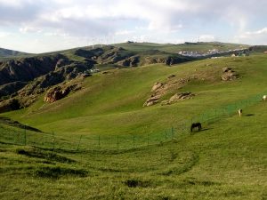 内蒙古自治区・輝謄錫勒草原、庫布齊砂漠の写真　月と太陽のドラマ2-10
