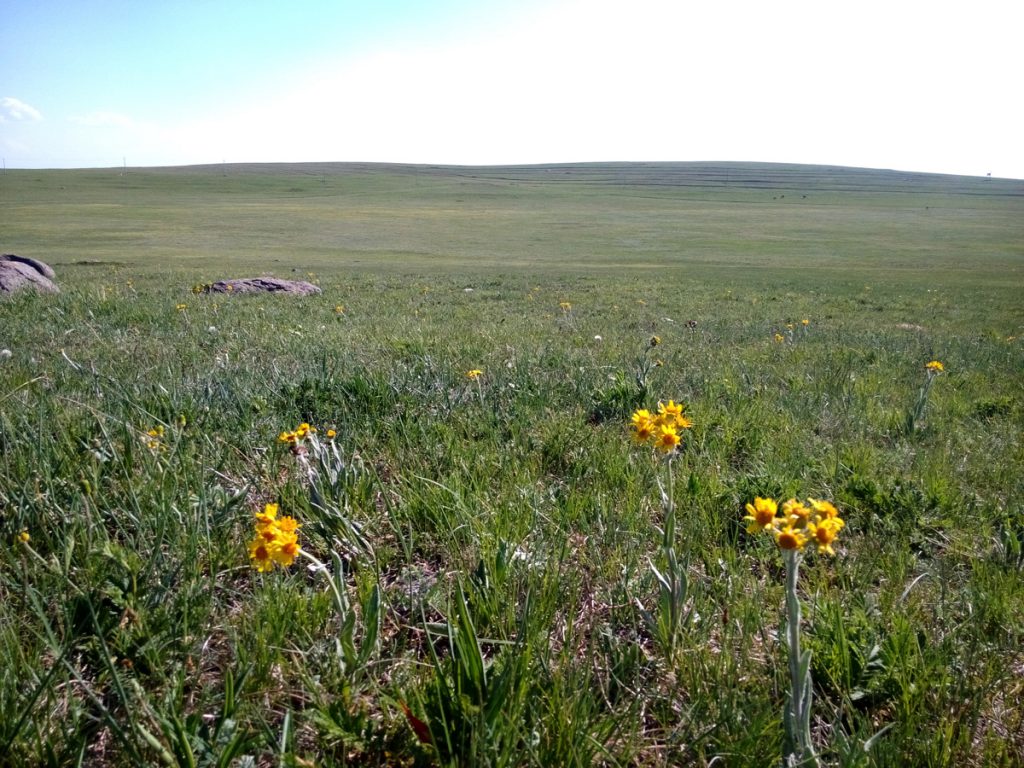 内蒙古自治区・輝謄錫勒草原、庫布齊砂漠の写真　月と太陽のドラマ2-2