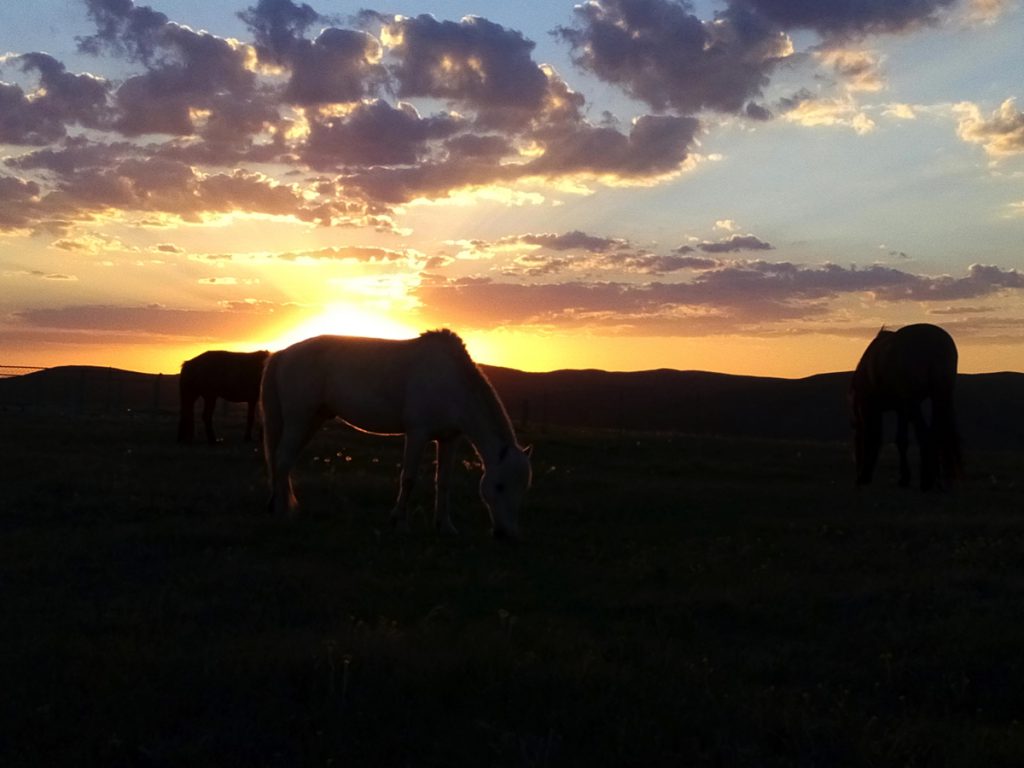 内蒙古自治区・輝謄錫勒草原、庫布齊砂漠の写真　月と太陽のドラマ2-4