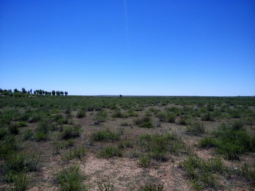 内蒙古自治区・輝謄錫勒草原、庫布齊砂漠の写真　月と太陽のドラマ3-3