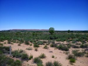 内蒙古自治区・輝謄錫勒草原、庫布齊砂漠の写真　月と太陽のドラマ3-8
