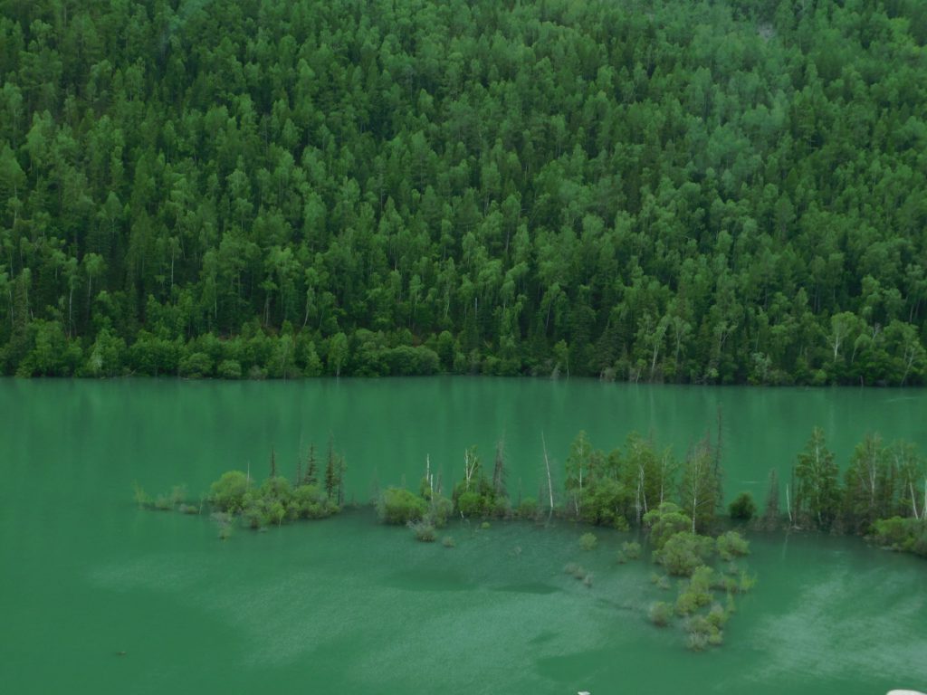 新疆ウィグル自治区・喀納斯（カナス）の写真　最後の浄土3-1