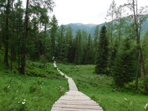 新疆ウィグル自治区・喀納斯（カナス）の写真　最後の浄土3-6