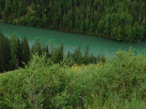 新疆ウィグル自治区・喀納斯（カナス）の写真　最後の浄土3-7