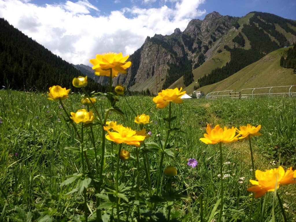 新疆ウィグル自治区・天山天池 南山牧場の写真　天山の山懐に抱かれて2-4