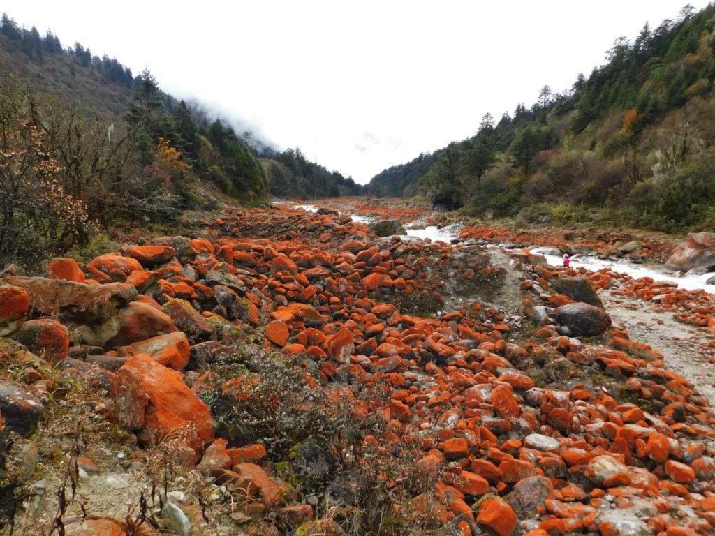 四川省・紅石公園／紅石公園から康定へ／折多山 貢嗄（コンガ）山／天路十八号と理塘／海子山の写真　亜丁への道-1
