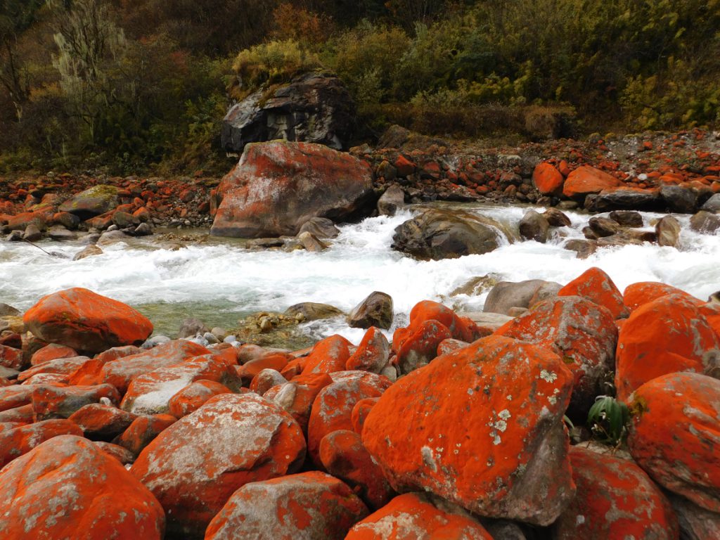 四川省・紅石公園／紅石公園から康定へ／折多山 貢嗄（コンガ）山／天路十八号と理塘／海子山の写真　亜丁への道-2