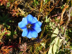 四川省・紅石公園 紅石公園から康定へ 折多山 貢嗄（コンガ）山 天路十八号と理塘 海子山の写真　亜丁への道4-6