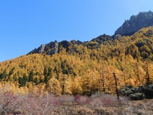 四川省・仙乃日の写真　神々の山2-6