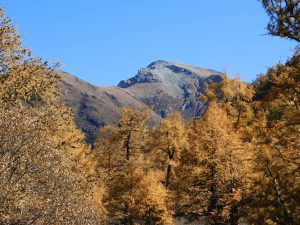四川省・仙乃日の写真　神々の山2-7