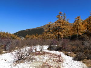 四川省・仙乃日の写真　神々の山2-8