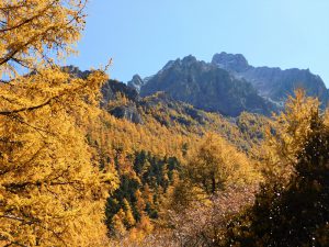 四川省・仙乃日の写真　神々の山2-9