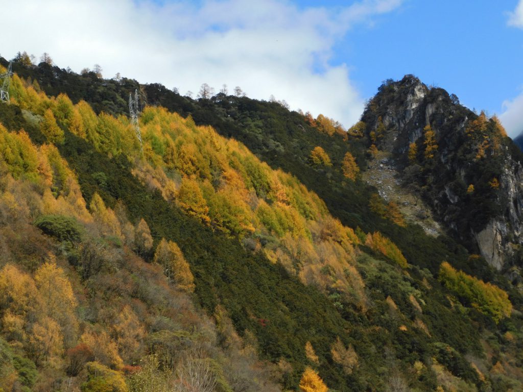四川省・八美から丹巴路へ 雅拉雪山を望む 紅葉の丹巴路1 紅葉の丹巴路2 四姑娘山の秋の写真 錦秋の丹巴路を行く3-3