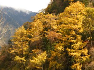 四川省・八美から丹巴路へ 雅拉雪山を望む 紅葉の丹巴路1 紅葉の丹巴路2 四姑娘山の秋の写真 錦秋の丹巴路を行く3-6
