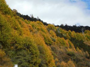 四川省・八美から丹巴路へ 雅拉雪山を望む 紅葉の丹巴路1 紅葉の丹巴路2 四姑娘山の秋の写真 錦秋の丹巴路を行く3-7