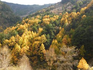四川省・八美から丹巴路へ 雅拉雪山を望む 紅葉の丹巴路1 紅葉の丹巴路2 四姑娘山の秋の写真 錦秋の丹巴路を行く3-8