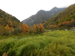 四川省・八美から丹巴路へ 雅拉雪山を望む 紅葉の丹巴路１ 紅葉の丹巴路２ 四姑娘山の秋の写真　錦秋の丹巴路を行く4-11