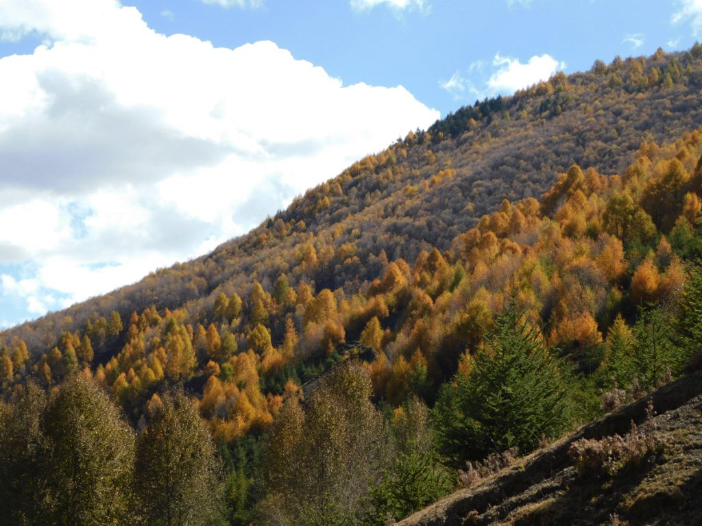 四川省・八美から丹巴路へ 雅拉雪山を望む 紅葉の丹巴路１ 紅葉の丹巴路２ 四姑娘山の秋の写真　錦秋の丹巴路を行く4-2